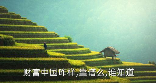  財(cái)富中國咋樣,靠譜么,誰知道