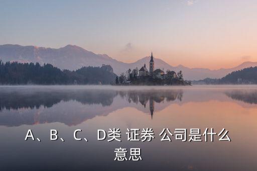 A、B、C、D類 證券 公司是什么意思