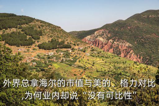 外界總拿海爾的市值與美的、格力對(duì)比,為何業(yè)內(nèi)卻說“沒有可比性”