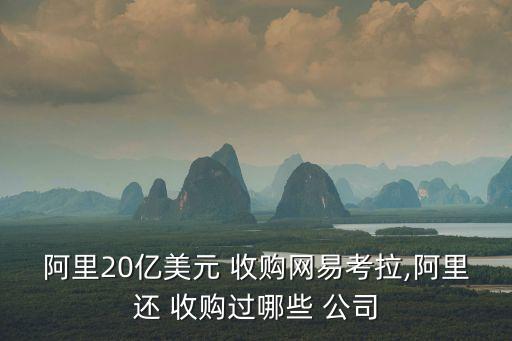阿里20億美元 收購(gòu)網(wǎng)易考拉,阿里還 收購(gòu)過哪些 公司