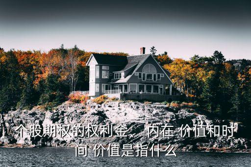 個股期權(quán)的權(quán)利金、 內(nèi)在 價值和時間 價值是指什么
