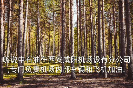 聽說中石油在西安咸陽(yáng)機(jī)場(chǎng)設(shè)有分公司,專門負(fù)責(zé)機(jī)場(chǎng)內(nèi)部車輛和飛機(jī)加油...