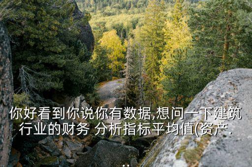 你好看到你說你有數據,想問一下建筑行業(yè)的財務 分析指標平均值(資產...
