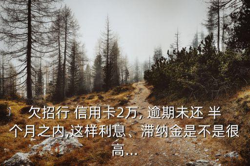 欠招行 信用卡2萬, 逾期未還 半個月之內(nèi),這樣利息、滯納金是不是很高...