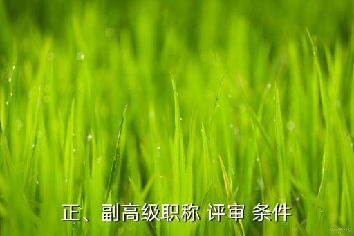 正、副高級職稱 評審 條件