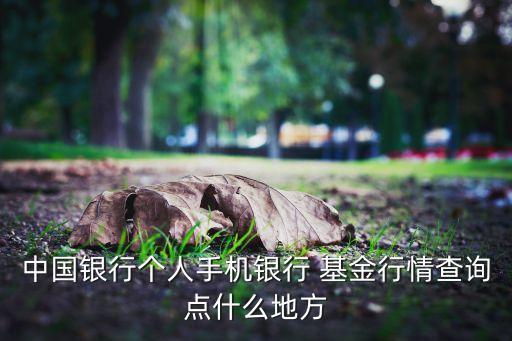 中國銀行個(gè)人手機(jī)銀行 基金行情查詢點(diǎn)什么地方