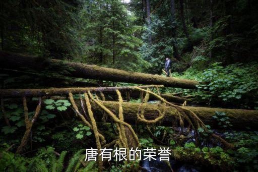 2013中國(guó)有色金屬科技進(jìn)步獎(jiǎng),有色金屬協(xié)會(huì)科技進(jìn)步獎(jiǎng)