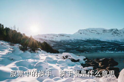  股票中的換手、換手率是什么意思