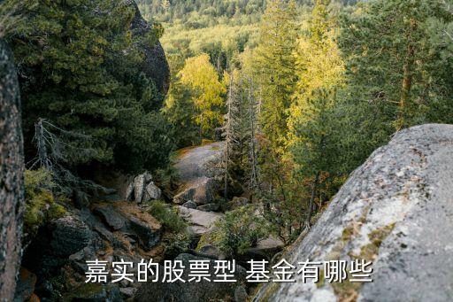 嘉實(shí)低碳環(huán)?；饍糁?嘉實(shí)環(huán)保低碳基金001616