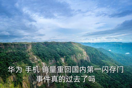 2015中國(guó)市場(chǎng)手機(jī)銷(xiāo)量排行榜,中國(guó)市場(chǎng)一年手機(jī)銷(xiāo)量