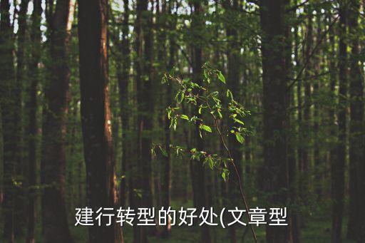 建設銀行資訊,西安建設銀行營業(yè)時間