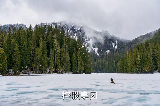 宏遠(yuǎn)控股集團