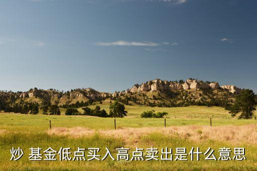 奇?；?2023最牛基金