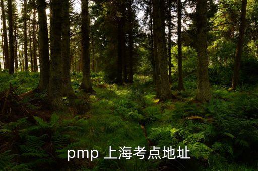pmp 上?？键c地址