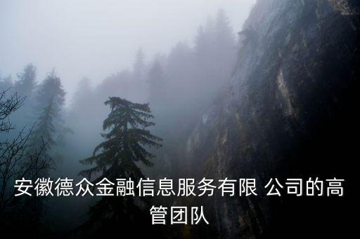 安徽德眾金融信息服務有限 公司的高管團隊