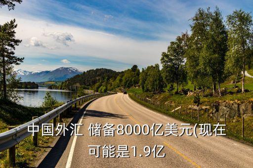 中國外匯 儲備8000億美元(現在可能是1.9億