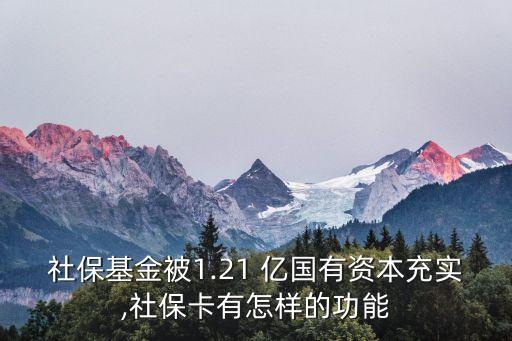 社保基金被1.21 億國有資本充實(shí),社?？ㄓ性鯓拥墓δ? class=