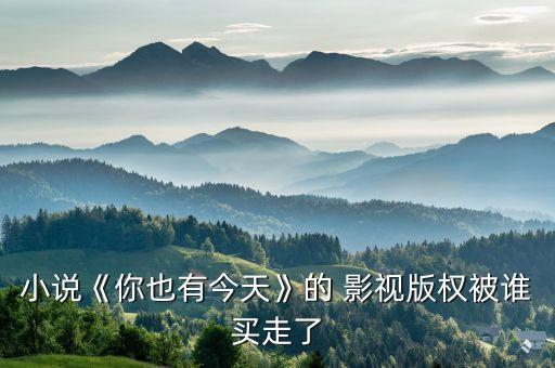 小說《你也有今天》的 影視版權被誰買走了