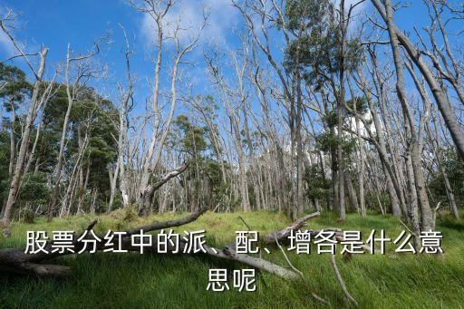  股票分紅中的派、配、增各是什么意思呢