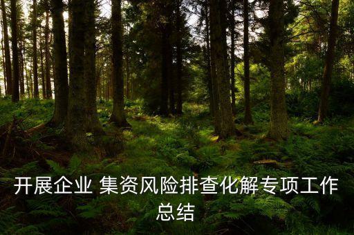 開(kāi)展企業(yè) 集資風(fēng)險(xiǎn)排查化解專項(xiàng)工作總結(jié)