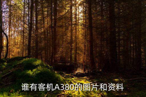 空中客車(chē)公司股票價(jià)格,法國(guó)空中客車(chē)股票