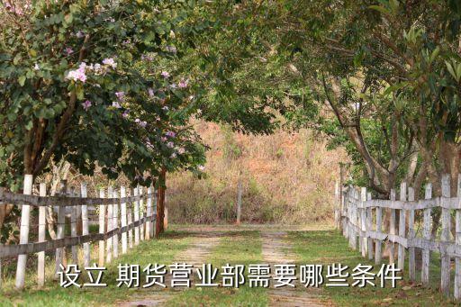 設(shè)立 期貨營(yíng)業(yè)部需要哪些條件