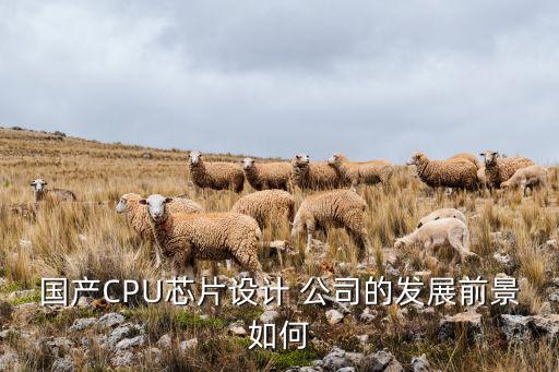 國產(chǎn)CPU芯片設(shè)計(jì) 公司的發(fā)展前景如何