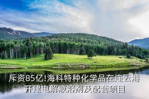 斥資85億!?？铺胤N化學(xué)品在連云港開建電解液溶劑及配套項目