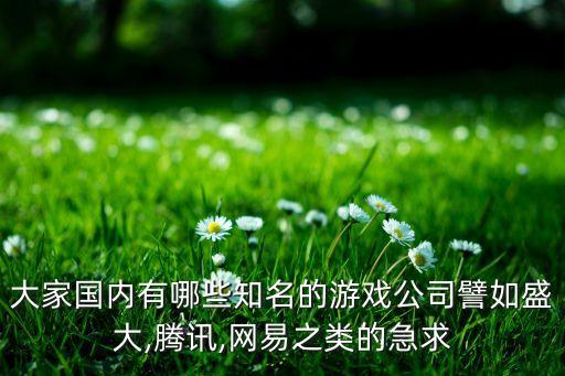大家國(guó)內(nèi)有哪些知名的游戲公司譬如盛大,騰訊,網(wǎng)易之類(lèi)的急求