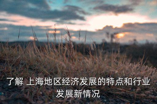 了解 上海地區(qū)經(jīng)濟(jì)發(fā)展的特點和行業(yè)發(fā)展新情況
