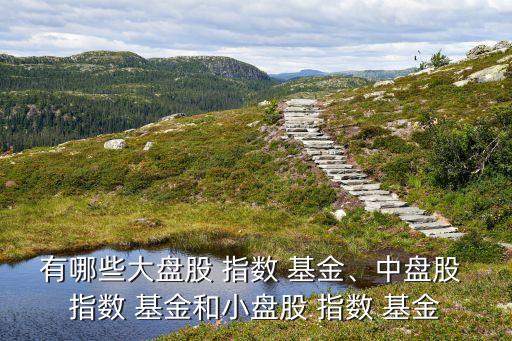 有哪些大盤股 指數(shù) 基金、中盤股 指數(shù) 基金和小盤股 指數(shù) 基金