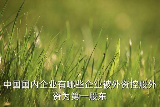 佳通集團股權結構,螞蟻集團最新股權結構