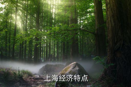  上海經(jīng)濟(jì)特點