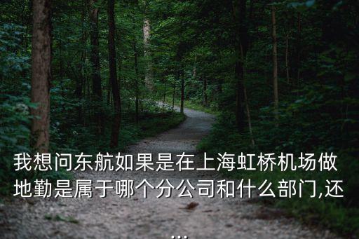 我想問東航如果是在上海虹橋機(jī)場做 地勤是屬于哪個(gè)分公司和什么部門,還...