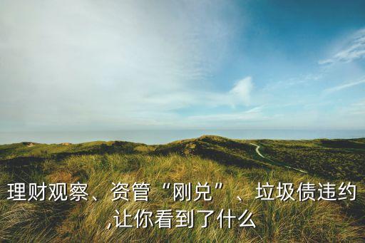 理財觀察、資管“剛兌”、垃圾債違約,讓你看到了什么