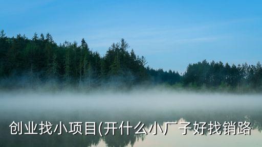 創(chuàng)業(yè)找小項(xiàng)目(開(kāi)什么小廠子好找銷(xiāo)路
