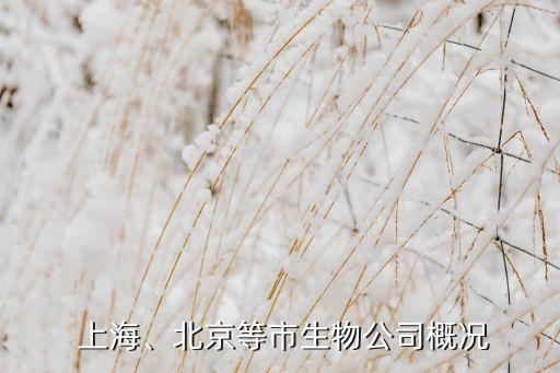  上海、北京等市生物公司概況