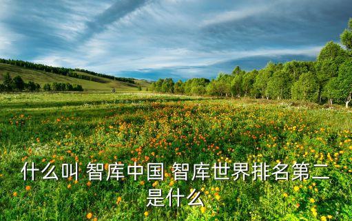 中國與全球化智庫簡(jiǎn)介,ccg中國與全球化智庫