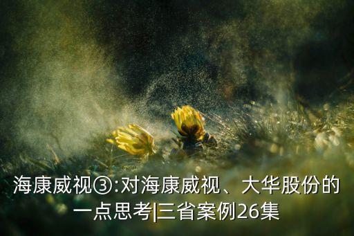 ?？低暍?對海康威視、大華股份的一點思考|三省案例26集