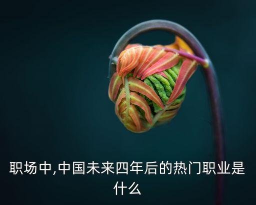 職場(chǎng)中,中國(guó)未來(lái)四年后的熱門職業(yè)是什么