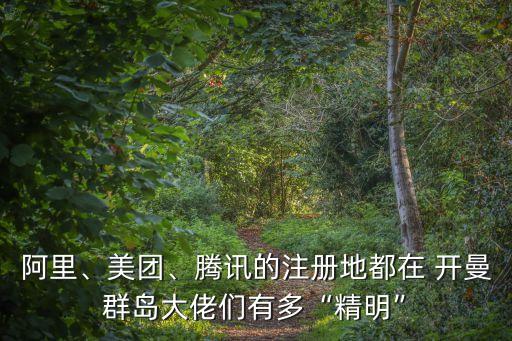 阿里、美團、騰訊的注冊地都在 開曼群島大佬們有多“精明”