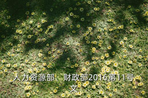 人力資源部、財(cái)政部2016第11號(hào)文