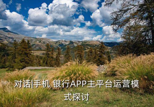 對話|手機(jī) 銀行APP主平臺運營模式探討