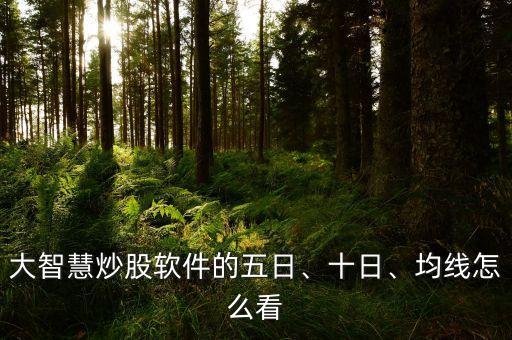 大智慧炒股軟件的五日、十日、均線怎么看