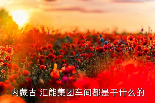 內(nèi)蒙古 匯能集團車間都是干什么的