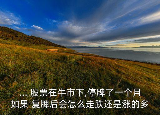... 股票在牛市下,停牌了一個(gè)月如果 復(fù)牌后會怎么走跌還是漲的多