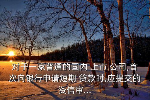 對(duì)于一家普通的國內(nèi) 上市 公司,首次向銀行申請短期 貸款時(shí),應(yīng)提交的資信審...