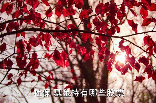 社?；鹚囊蝗M合,全國社?；鹚囊蝗M合最新持股明細