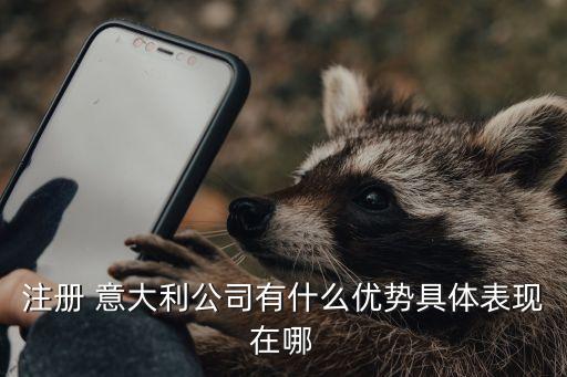 注冊 意大利公司有什么優(yōu)勢具體表現在哪