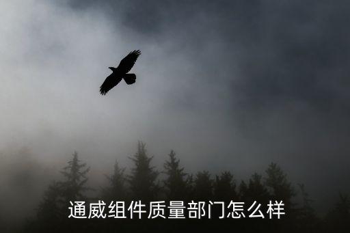  通威組件質(zhì)量部門(mén)怎么樣